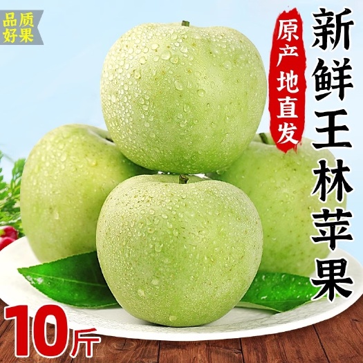 玉林王林青苹果10斤大果现摘整箱当季脆甜孕妇水果青森丑萍果时令包