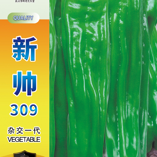武汉新帅309香辣皱皮辣椒种子皮薄质脆辣早熟辣椒种籽基地优品蔬菜