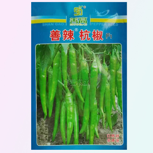 武汉【基地千亩种植】杭椒种子辣椒种子早熟微辣四季杭椒高产香辣四季