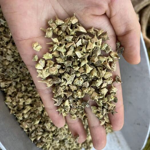 鄄城县白蒺藜中药材批发零售