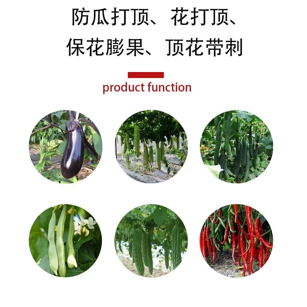 黃瓜順直王絲瓜辣椒含氨基酸葉面肥