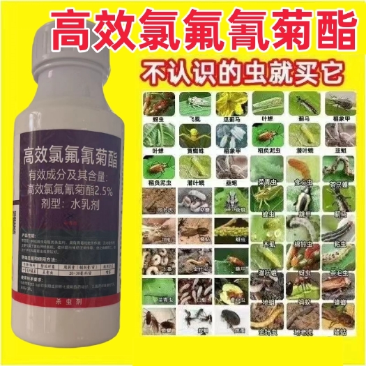 高效氯氟氰菊酯农药蔬菜农作物果木杀虫剂菜青虫蚜虫棉铃虫杀虫剂