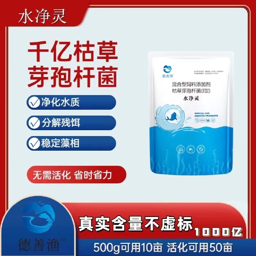 郑州水净灵-枯草芽孢杆菌-净化水质·降氨氮亚盐·抑青苔蓝藻