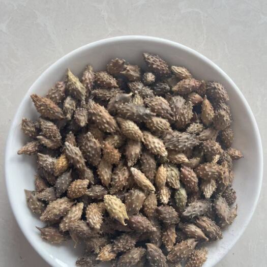 鄄城县苍耳苍耳子中药材批发零售