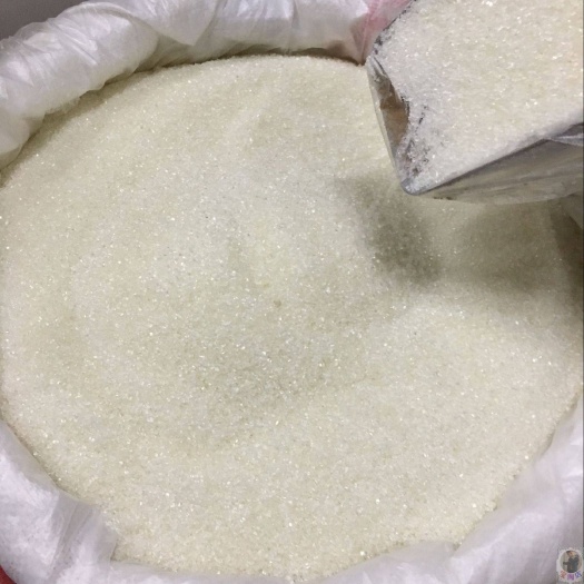 上海白砂糖
