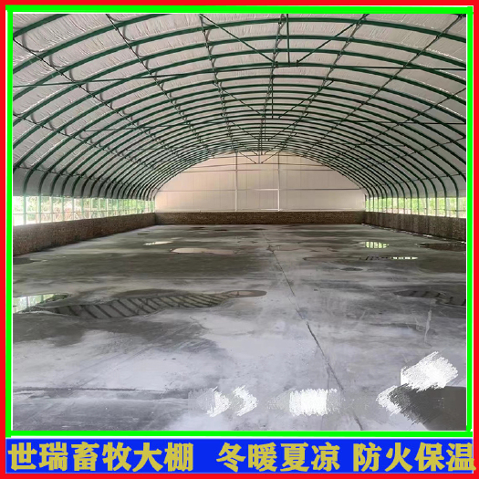 宁津县养牛大棚施工牛舍大棚建造大棚式牛舍安装