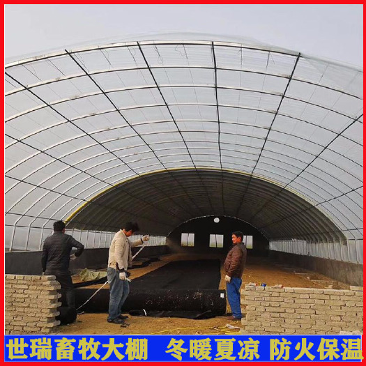 宁津县仓库大棚建设大棚式仓库搭建仓储大棚施工大棚钢架
