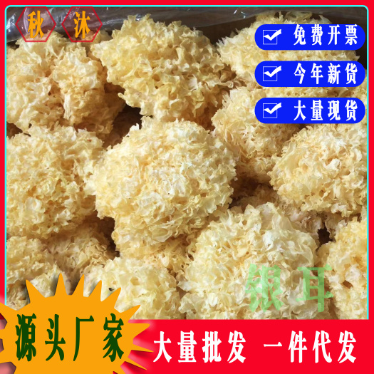 秋沐古田银耳干货散装白木耳雪耳今年新货银耳羹原厂地批发代发