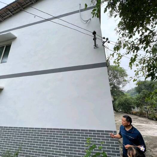 重庆市南岸区200平民房出zu