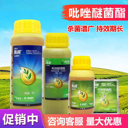 巴斯夫 凯润 吡唑醚菌酯嘧菌脂 蔬菜霜霉病白粉叶斑炭疽病杀菌