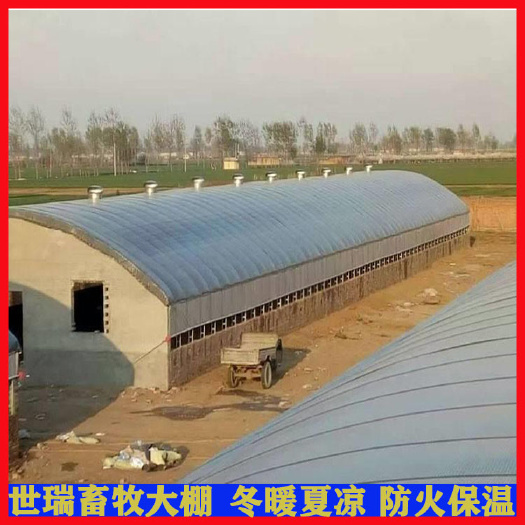宁津县养猪场猪棚建设大棚式猪舍搭建养猪大棚施工厂家