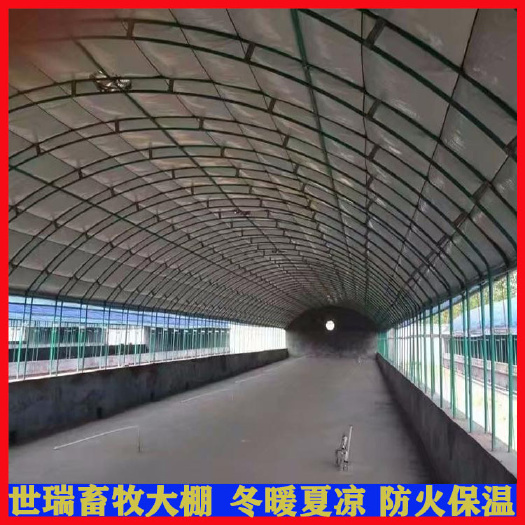 宁津县鸽子大棚建设肉鸽养殖大棚鸽子养殖大棚建造