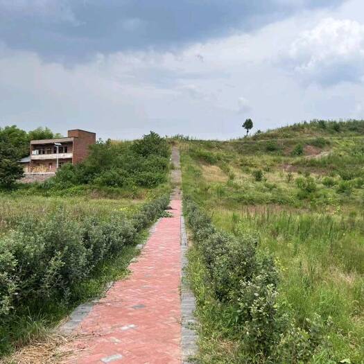 重庆市璧山区130亩花木加采摘项目土地出zu