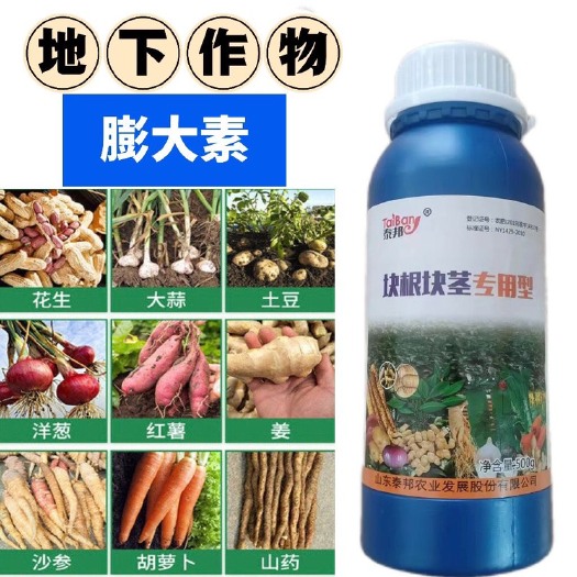 陆丰市膨大素地下根茎膨大素红薯土豆莲藕生姜蒜芋头荸荠萝卜等地下茎
