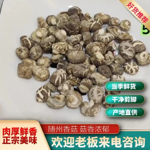 随县1.8 cm白花菇正季发货