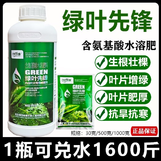 陆丰市正品绿叶先锋叶绿素叶面肥促进生根壮棵叶片增绿增厚氨基酸水溶肥