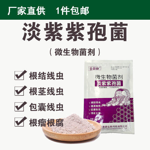 沂源县淡紫拟青霉 淡紫紫孢菌预防根结线虫包囊线虫等微生物菌剂