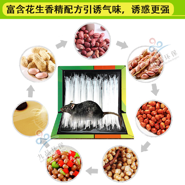 九行强力粘鼠板老鼠贴强力胶驱鼠强抓老鼠粘老鼠家用老鼠粘老鼠