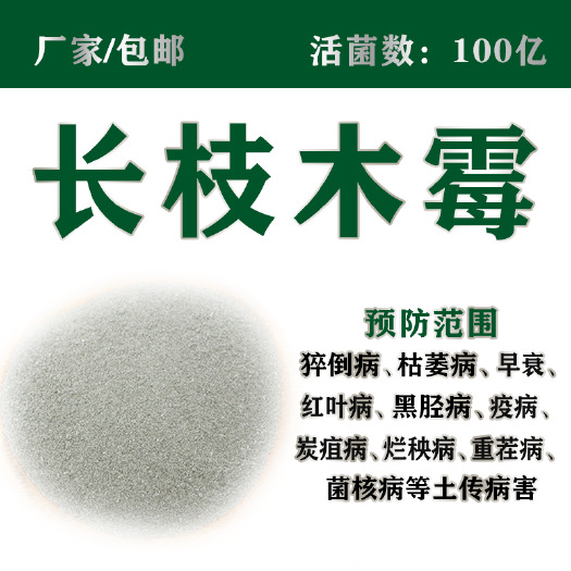 沂源县100亿长枝木霉菌粉腐熟生物菌剂有机肥料菌剂厂家直销