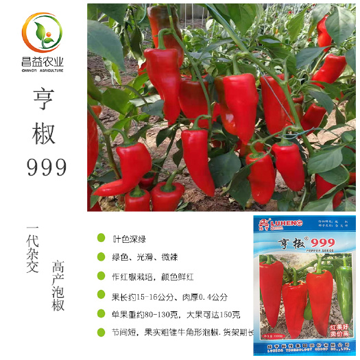 寿光市亨椒999泡椒种籽孑 中农绿亨高产牛角形红泡椒色泽鲜红辣椒种