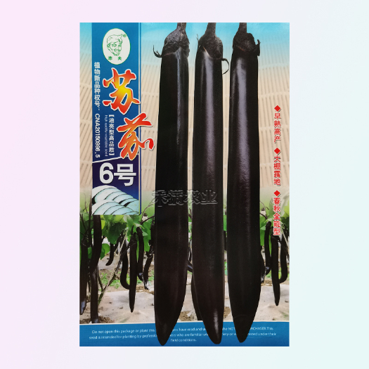 武汉茄子种籽大全种籽春秋季阳台盆栽蔬菜种孑四季新品种菜种子紫长茄