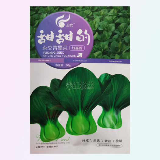 武汉正宗甜甜的杂交青梗菜种子上海青种籽大全四季蔬菜种子青菜小白菜