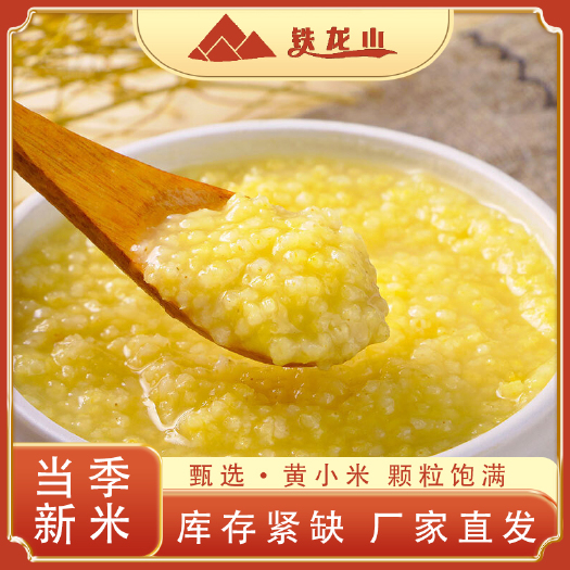 子洲县陕北米脂小米农家小米子黄小米粮食新米农家五谷杂粮小黄米
