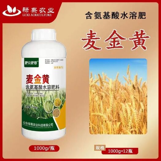 菏泽肥公肥婆麦金黄氨基酸小麦增产王叶面肥小麦增产专用分蘖剂