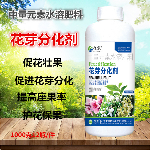 花芽分化剂1000克+流体硼套装1300克瓜果树促花授粉座果