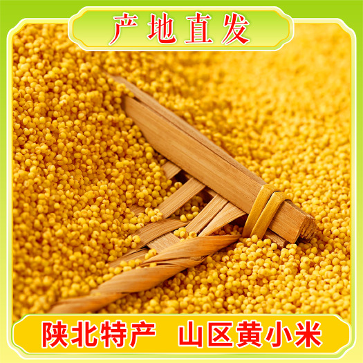 【批发走量】陕北香谷米米脂黄小米富硒地种植石碾小米