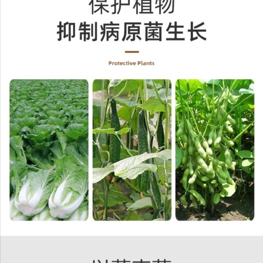 长沙县枯草芽孢杆菌防重茬改良土壤提高肥效防治虫害