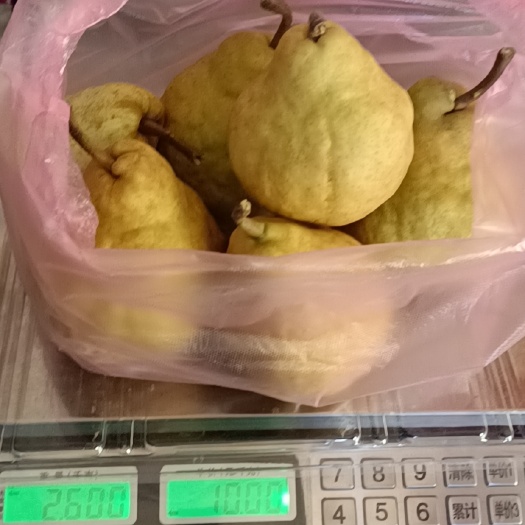 威海丑梨