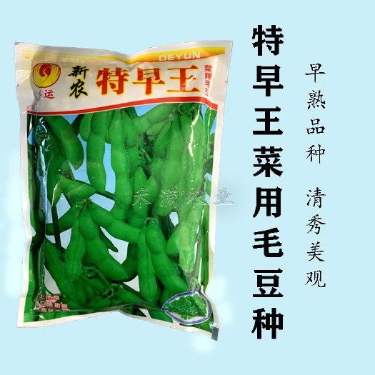 武汉早熟毛豆种子极早50天毛豆种子早熟丰产毛豆种子四季蔬菜种子