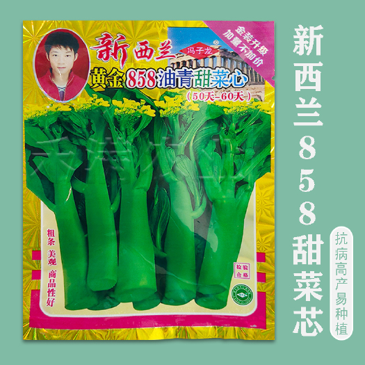 广东甜菜心特甜脆菜苔芯种子绿菜苔耐热寒蔬菜籽四季播