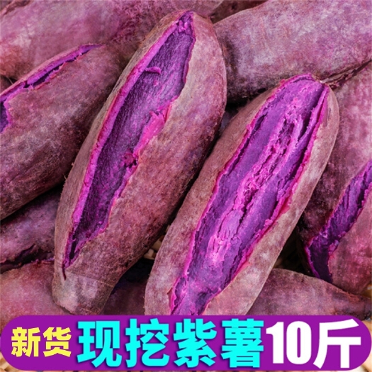 襄樊紫罗兰紫薯新鲜番薯农家自种地瓜沙地板栗红薯代餐粗