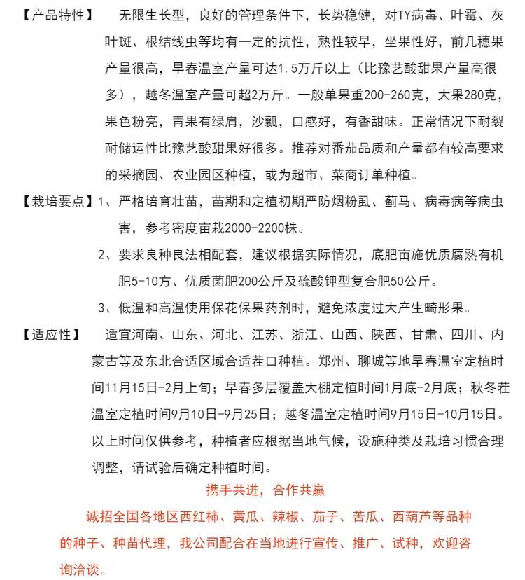 豫艺优五水果番茄种子籽大果沙瓤粉果西红柿口感好产量高抗病耐裂
