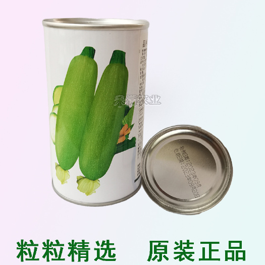 10月播种早熟西葫芦种孑捷利亚秀绿140瓠瓜种籽茭瓜种抗病