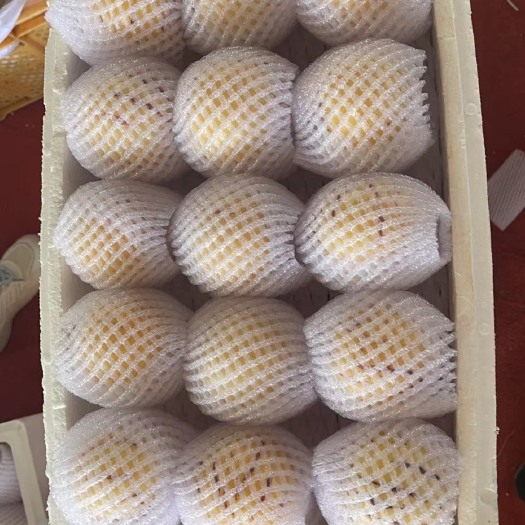石林县树上熟人参果，一件代发，整车发货，电商 （大果）