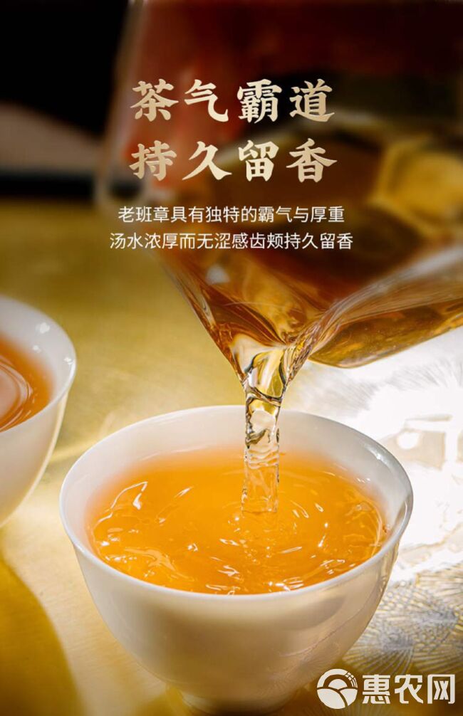 步赋普洱茶王老班章古树生茶2020年头春357克云南七子饼茶