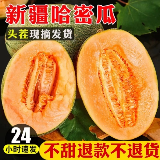 莘县【一件代发】山东/新疆/哈密瓜晓蜜25号西州蜜5斤/9斤装