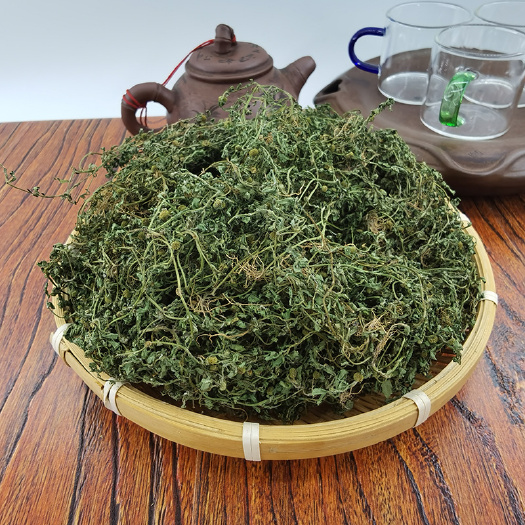 鹅不食草石胡荽园荽鸡肠草地芫荽满天星食胡荽