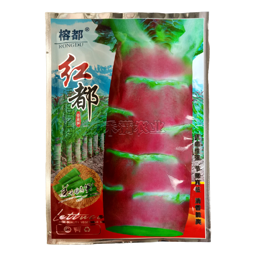 武汉红都红莴笋种子红芙蓉香莴笋种子耐热耐寒香莴苣种籽抗高温四季