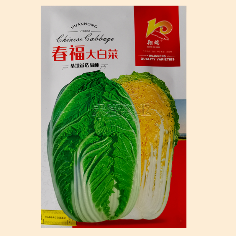 春福黄心白菜种子黄芯秋播大白菜种籽冬储白菜耐寒口感好秋冬季蔬