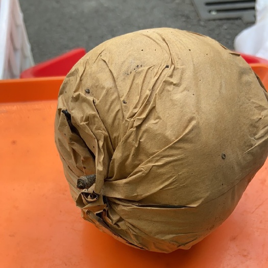 秋锦梨。