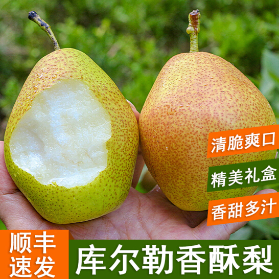 新疆库尔勒香梨当季水果新鲜母梨子大果梨子9斤整箱顺丰包邮