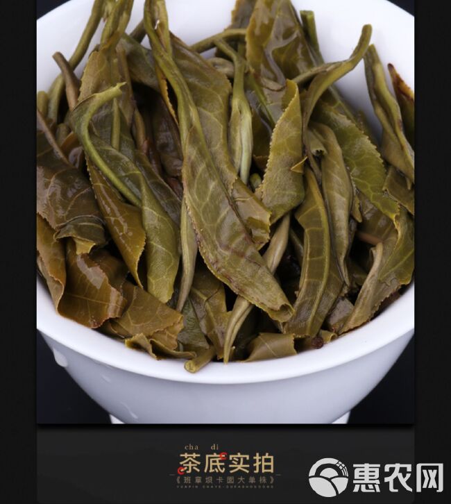 步赋普洱茶王老班章古树生茶2020年头春357克云南七子饼茶