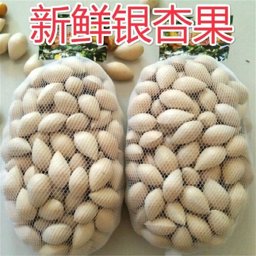 彭州市5斤新鲜银杏果带壳新银杏白果大佛指无漂白临沂郯城特产蔬菜