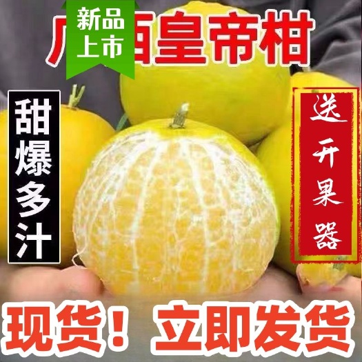 济南【9.5斤】皇帝柑贡柑新鲜无籽薄皮桔子应季水果现摘整箱包邮