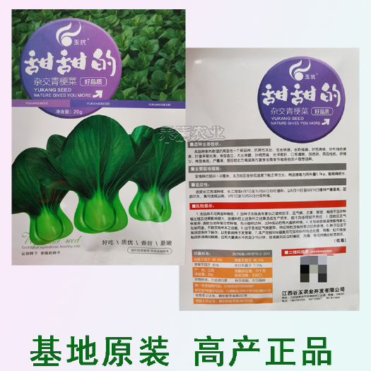 武汉鸡毛菜种子种籽四季小白菜青菜油菜上海青蔬菜菜籽菜种孑大全籽种