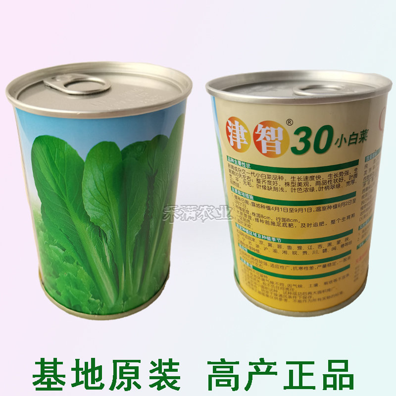 鸡毛菜种子种籽四季小白菜青菜油菜上海青蔬菜菜籽菜种孑大全籽种